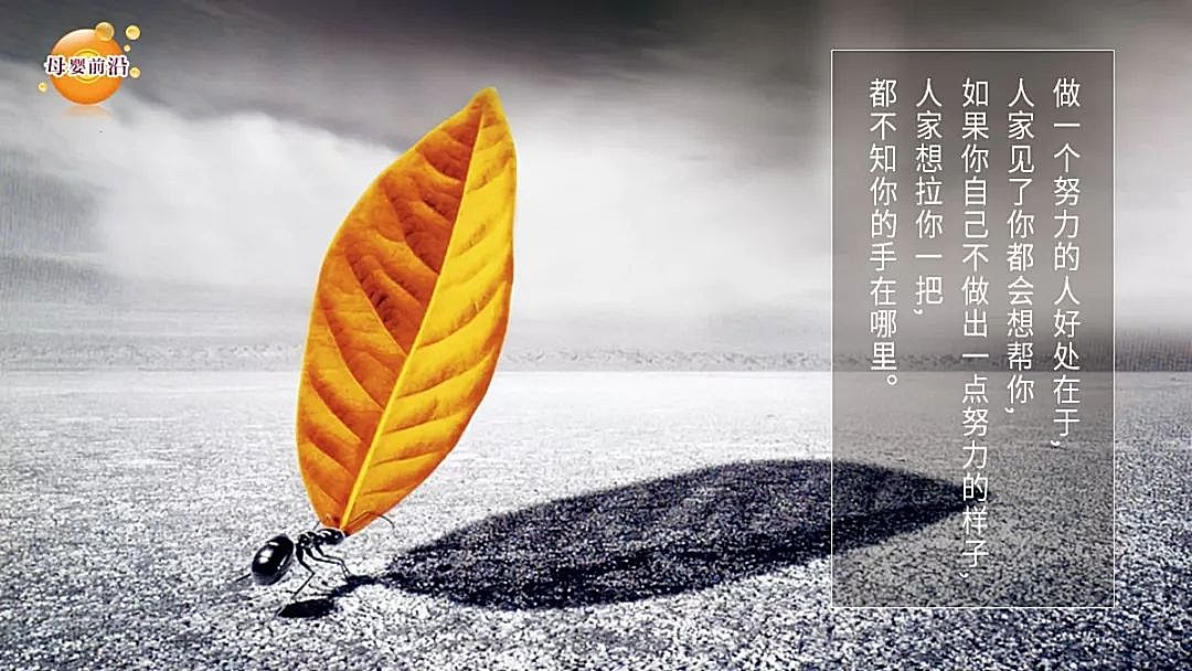知识图谱,6月内收三封深交所询问函，皇氏集团资金缺口隐现